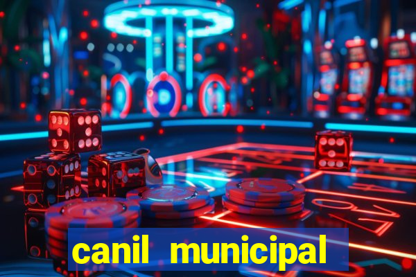 canil municipal porto alegre